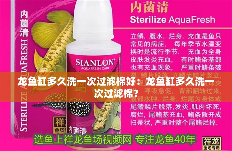 龍魚缸多久洗一次過濾棉好：龍魚缸多久洗一次過濾棉？ 龍魚缸多久洗一次過濾棉好：龍魚缸多久洗一次過濾棉？ 水族問答