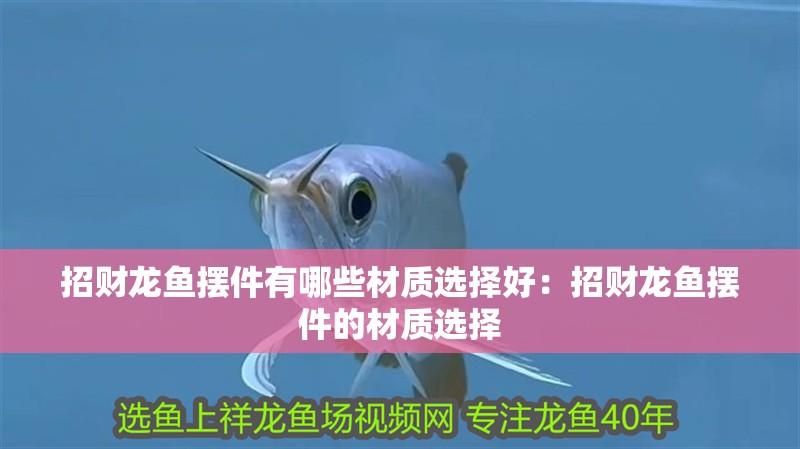 招財龍魚擺件有哪些材質選擇好：招財龍魚擺件的材質選擇