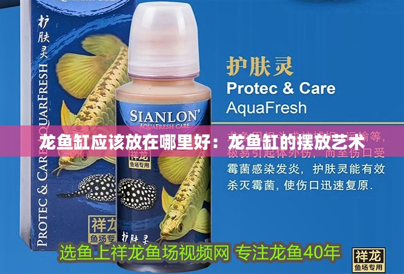 龍魚缸應該放在哪里好：龍魚缸的擺放藝術