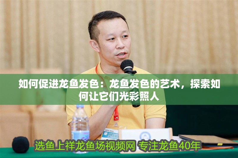 魚缸造景先放沙還是先放水(魚缸造景先鋪沙還是先放石頭) 如何促進(jìn)龍魚發(fā)色:龍魚發(fā)色的藝術(shù),探索如何讓它們光彩照人 水族問答 如何促進(jìn)龍魚發(fā)色:龍魚發(fā)色的藝術(shù),探索如何讓它們光彩照人 如何促進(jìn)龍魚發(fā)色:龍魚發(fā)色的藝術(shù),探索如何讓它們光彩照人 水族問答