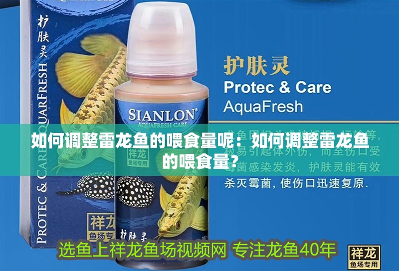 如何調(diào)整雷龍魚的喂食量呢：如何調(diào)整雷龍魚的喂食量？