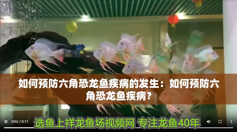 如何預防六角恐龍魚疾病的發生：如何預防六角恐龍魚疾病？