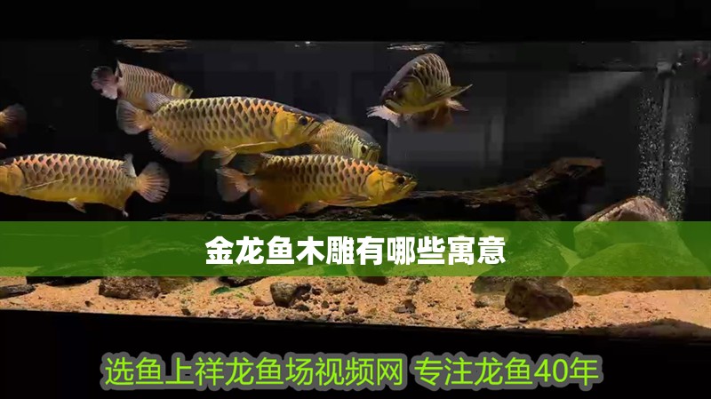 金龍魚木雕有哪些寓意