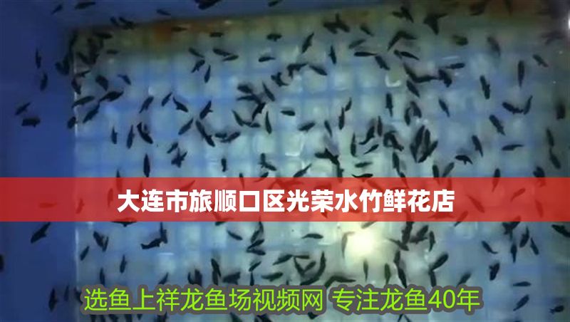 大連市旅順口區(qū)光榮水竹鮮花店