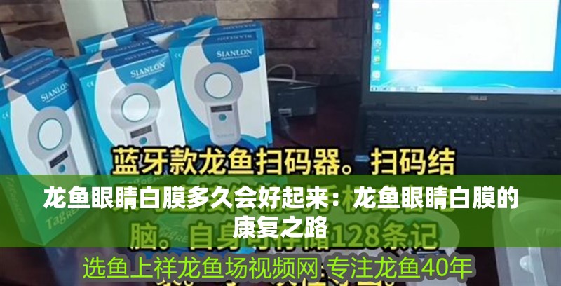 龍魚眼睛白膜多久會好起來：龍魚眼睛白膜的康復之路