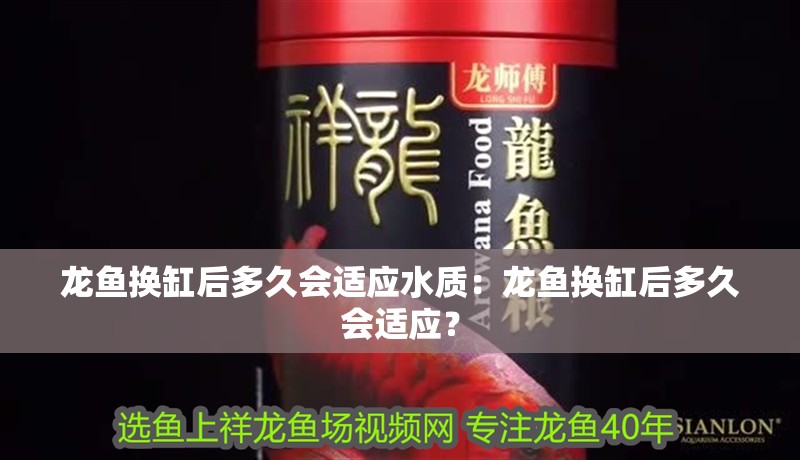 龍魚換缸后多久會適應水質：龍魚換缸后多久會適應？