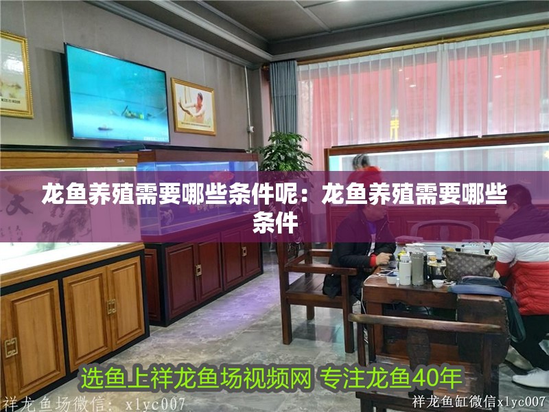 龍魚養殖需要哪些條件呢：龍魚養殖需要哪些條件