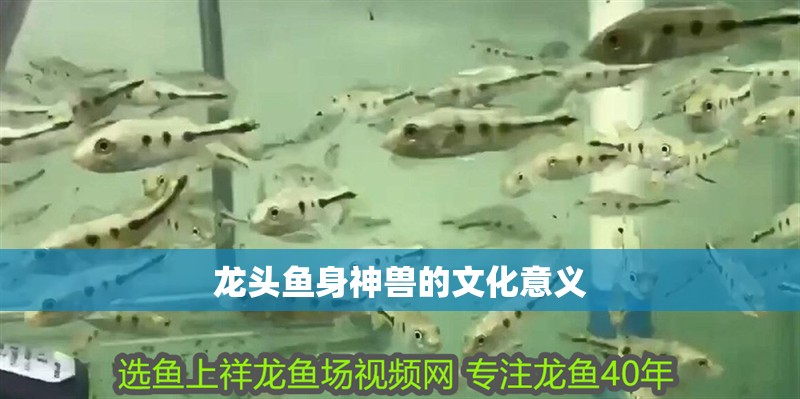 龍頭魚身神獸的文化意義 龍頭魚身神獸的文化意義 龍魚百科