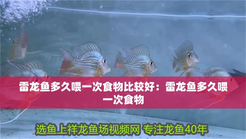 雷龍魚多久喂一次食物比較好：雷龍魚多久喂一次食物