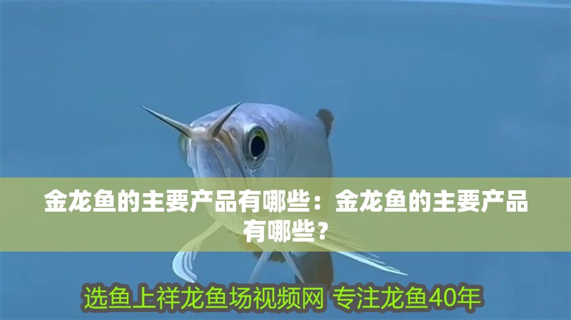 金龍魚的主要產(chǎn)品有哪些：金龍魚的主要產(chǎn)品有哪些？