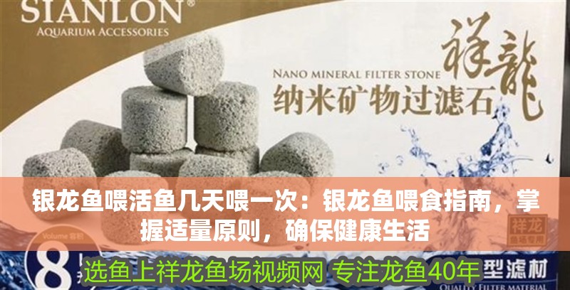 銀龍魚喂活魚幾天喂一次：銀龍魚喂食指南，掌握適量原則，確保健康生活