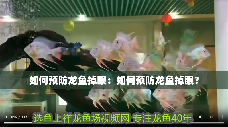 如何預(yù)防龍魚掉眼：如何預(yù)防龍魚掉眼？