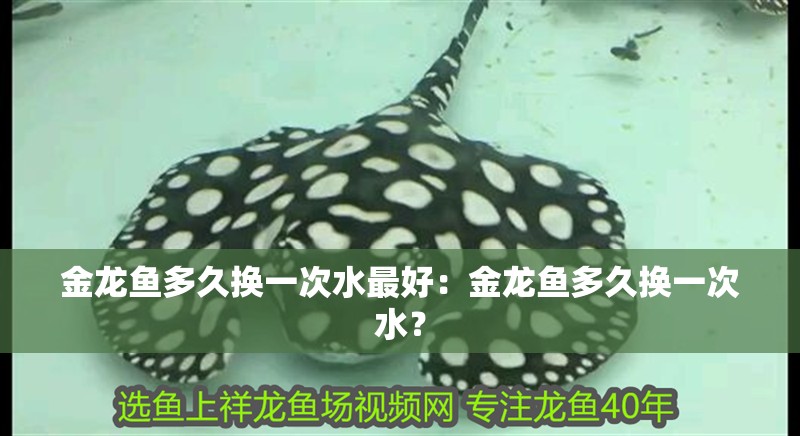 金龍魚多久換一次水最好：金龍魚多久換一次水？
