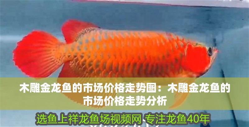 木雕金龍魚的市場價格走勢圖：木雕金龍魚的市場價格走勢分析