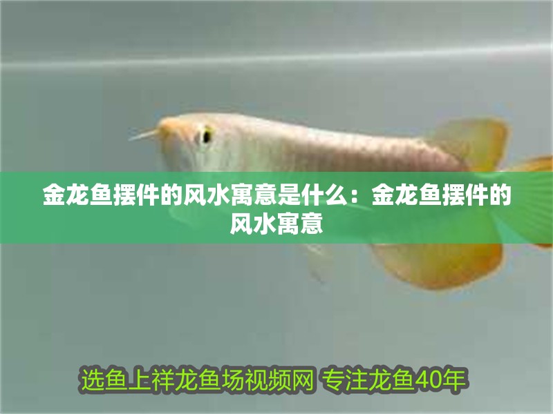 金龍魚擺件的風水寓意是什么：金龍魚擺件的風水寓意