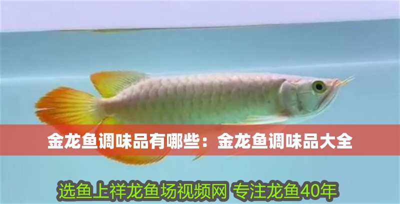 金龍魚調味品有哪些：金龍魚調味品大全