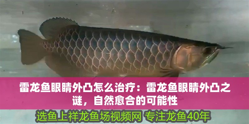 雷龍魚眼睛外凸怎么治療：雷龍魚眼睛外凸之謎，自然愈合的可能性