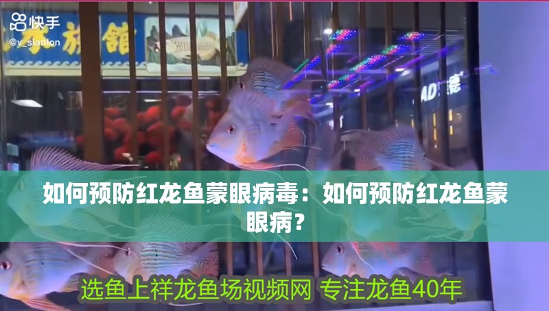 如何預防紅龍魚蒙眼病毒：如何預防紅龍魚蒙眼病？