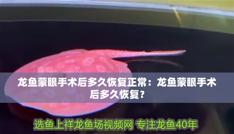 龍魚蒙眼手術后多久恢復正常：龍魚蒙眼手術后多久恢復？