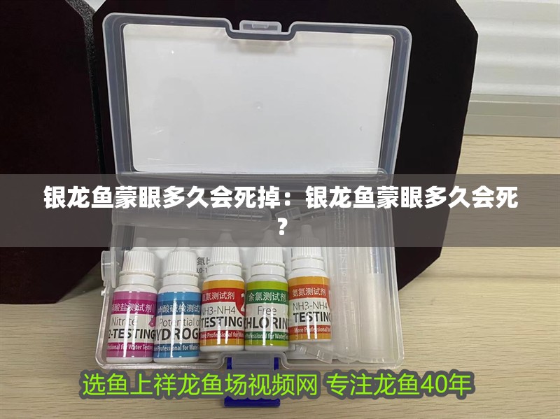 銀龍魚蒙眼多久會(huì)死掉：銀龍魚蒙眼多久會(huì)死？