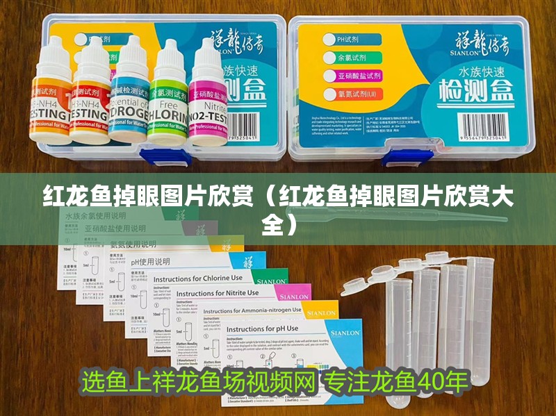 紅龍魚掉眼圖片欣賞（紅龍魚掉眼圖片欣賞大全）