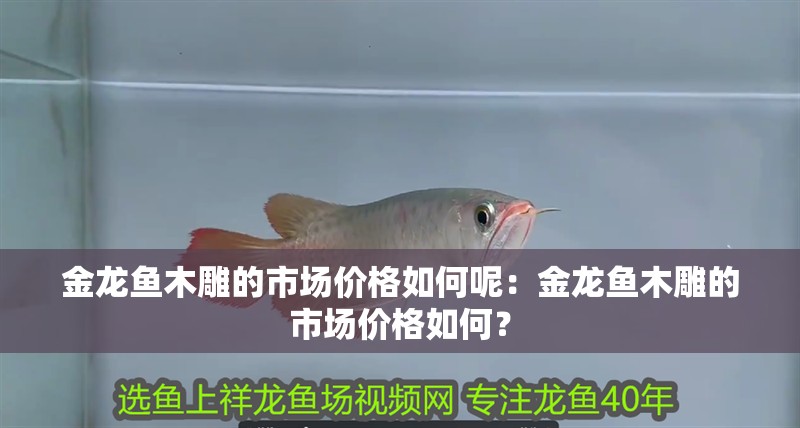 金龍魚木雕的市場價格如何呢：金龍魚木雕的市場價格如何？