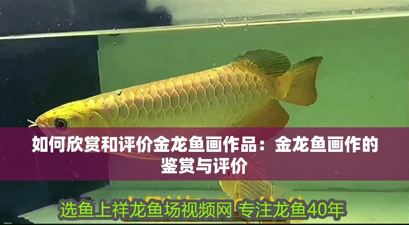 如何欣賞和評價金龍魚畫作品：金龍魚畫作的鑒賞與評價