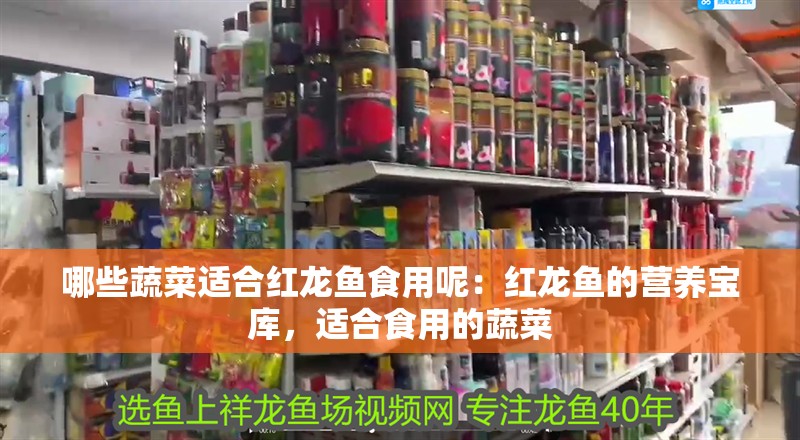 哪些蔬菜適合紅龍魚(yú)食用呢：紅龍魚(yú)的營(yíng)養(yǎng)寶庫(kù)，適合食用的蔬菜