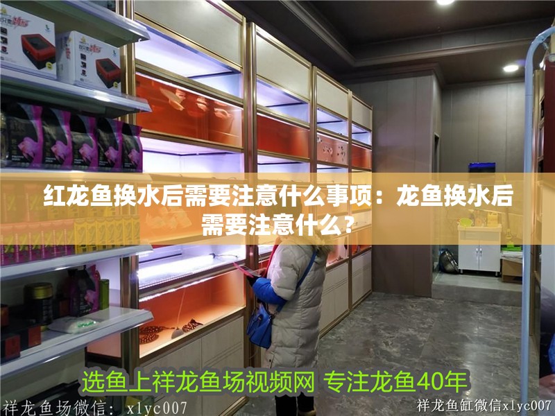 紅龍魚換水后需要注意什么事項(xiàng)：龍魚換水后需要注意什么？