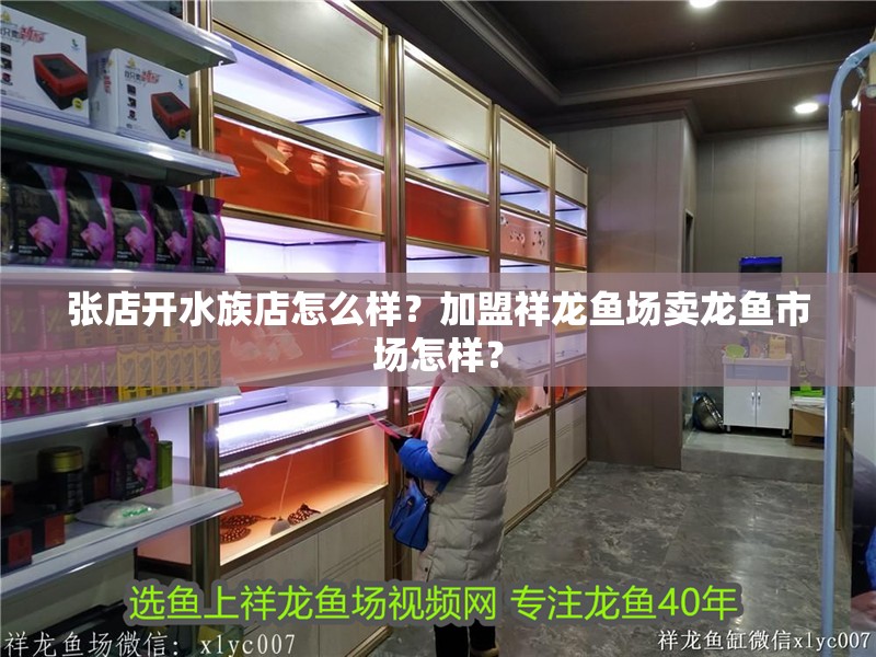 張店開水族店怎么樣？加盟祥龍魚場賣龍魚市場怎樣？
