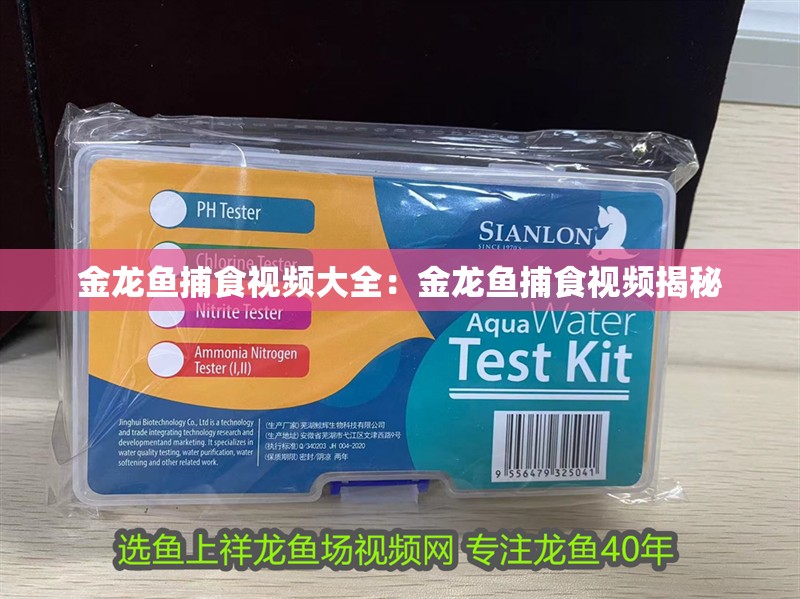 金龍魚捕食視頻大全：金龍魚捕食視頻揭秘