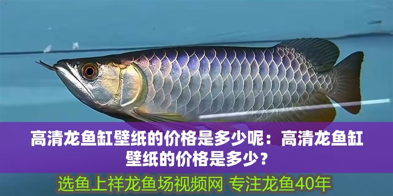 高清龍魚(yú)缸壁紙的價(jià)格是多少呢：高清龍魚(yú)缸壁紙的價(jià)格是多少？