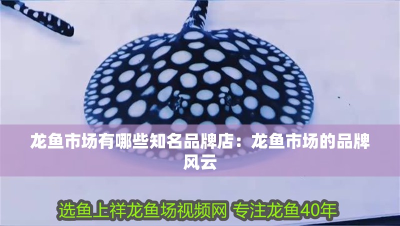 龍魚市場有哪些知名品牌店：龍魚市場的品牌風云