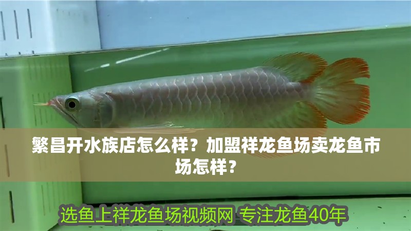 繁昌開水族店怎么樣？加盟祥龍魚場賣龍魚市場怎樣？