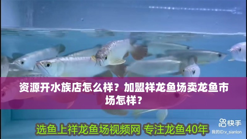 資源開(kāi)水族店怎么樣？加盟祥龍魚(yú)場(chǎng)賣龍魚(yú)市場(chǎng)怎樣？