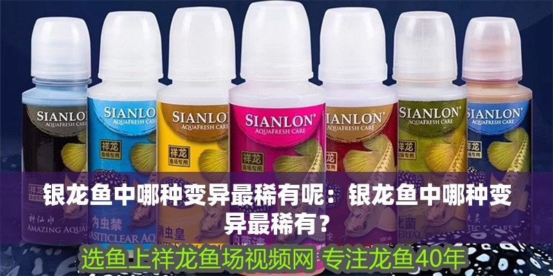 銀龍魚中哪種變異最稀有呢：銀龍魚中哪種變異最稀有？