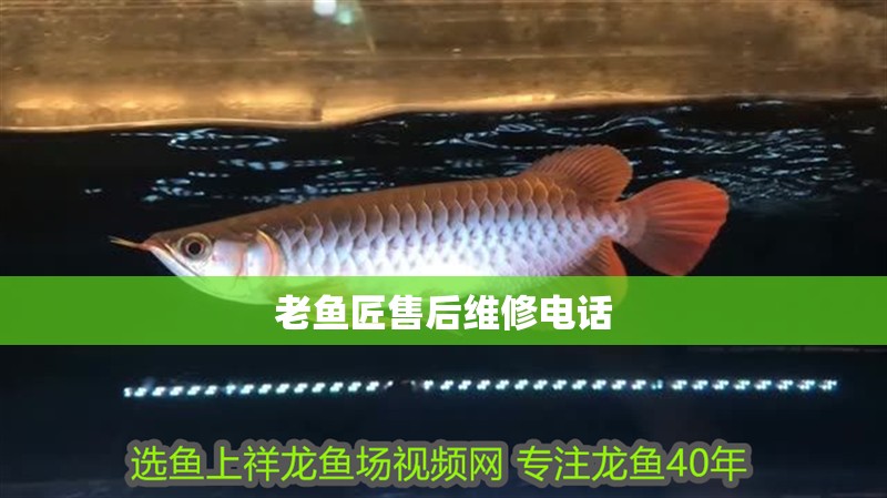 老魚匠售后維修電話