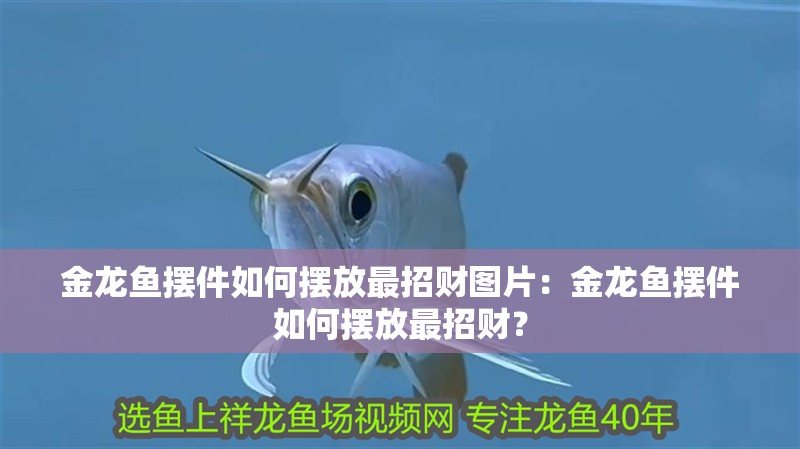 金龍魚擺件如何擺放最招財圖片：金龍魚擺件如何擺放最招財？
