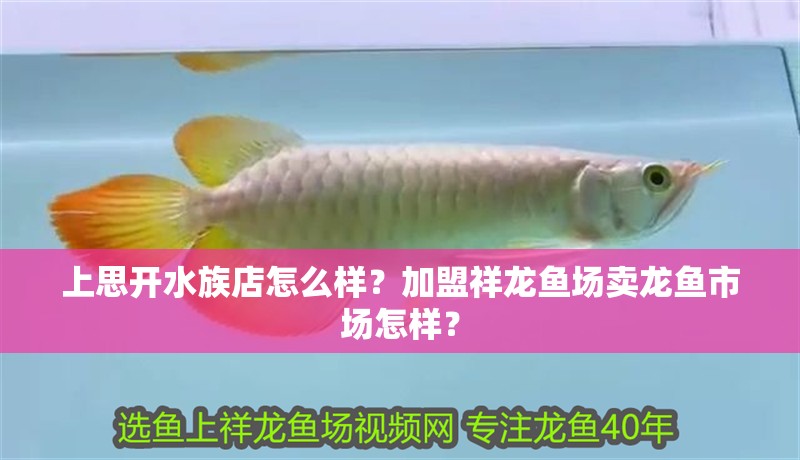 <strong><mark>上思</mark></strong>開水族店怎么樣？加盟祥龍魚場賣龍魚市場怎樣？