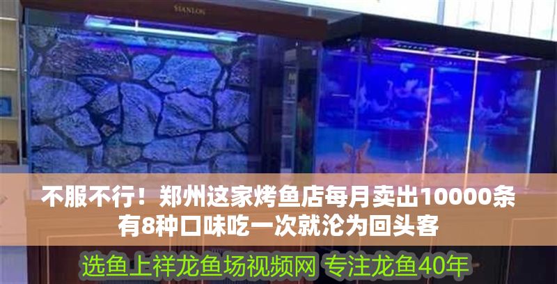 不服不行!鄭州這家烤魚店每月賣出10000條有8種口味吃一次就淪為回頭客 全國水族館企業名錄 第1張 不服不行!鄭州這家烤魚店每月賣出10000條有8種口味吃一次就淪為回頭客 不服不行!鄭州這家烤魚店每月賣出10000條有8種口味吃一次就淪為回頭客 全國水族館企業名錄 第1張