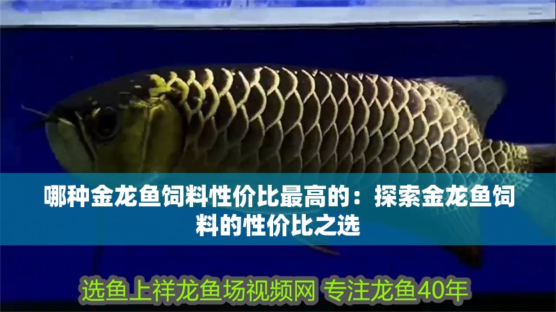 哪種金龍魚飼料性價(jià)比最高的：探索金龍魚飼料的性價(jià)比之選