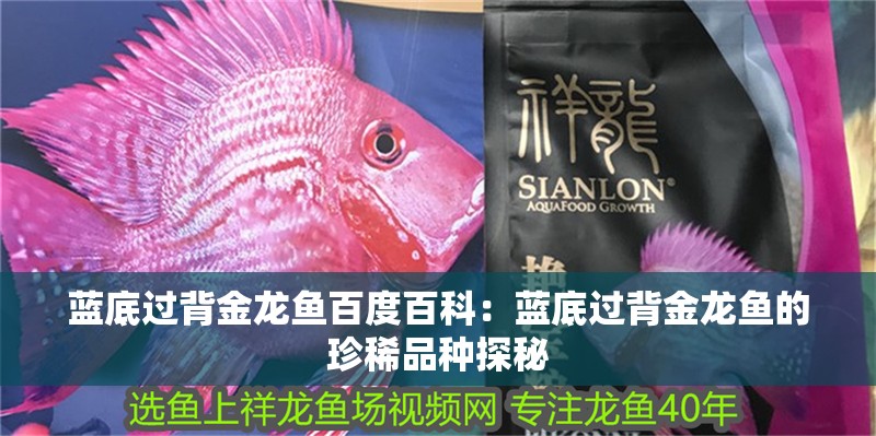 藍底過背金龍魚百度百科：藍底過背金龍魚的珍稀品種探秘