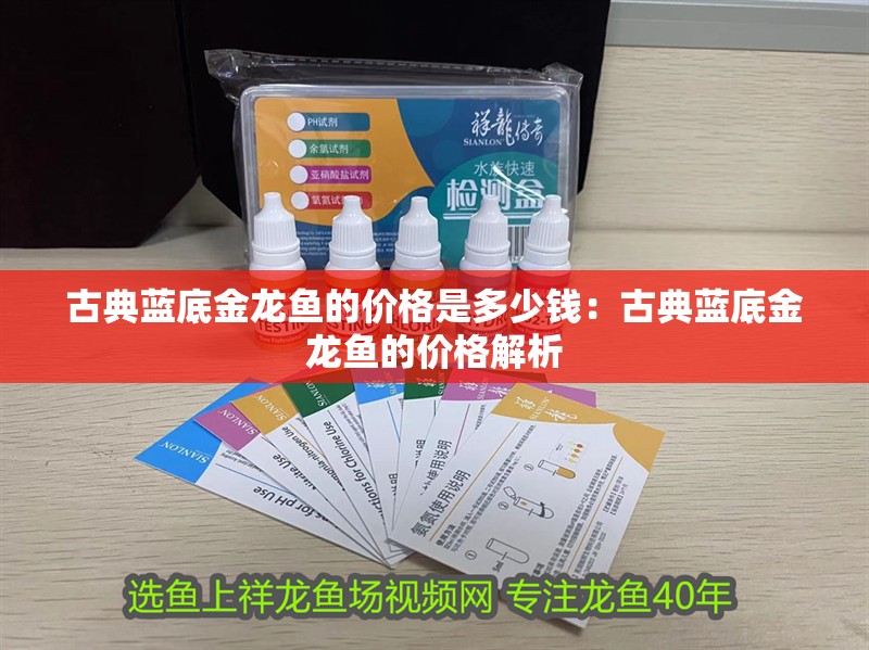 古典藍(lán)底金龍魚的價格是多少錢：古典藍(lán)底金龍魚的價格解析