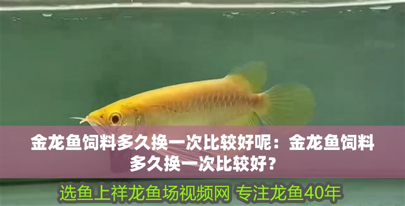 金龍魚飼料多久換一次比較好呢：金龍魚飼料多久換一次比較好？