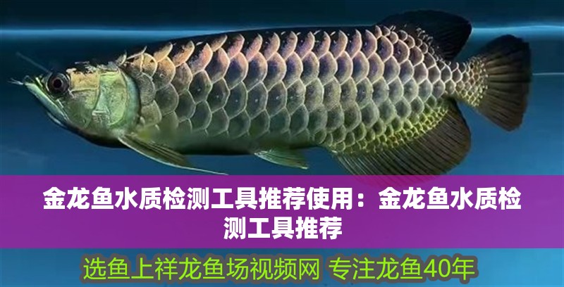 金龍魚水質檢測工具推薦使用：金龍魚水質檢測工具推薦