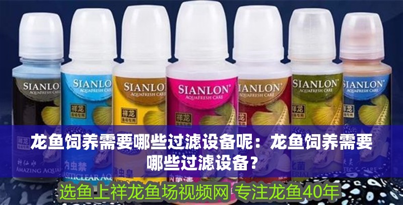 龍魚飼養(yǎng)需要哪些過濾設(shè)備呢：龍魚飼養(yǎng)需要哪些過濾設(shè)備？