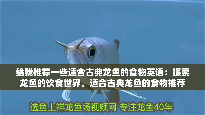 給我推薦一些適合古典龍魚的食物英語：探索龍魚的飲食世界，適合古典龍魚的食物推薦