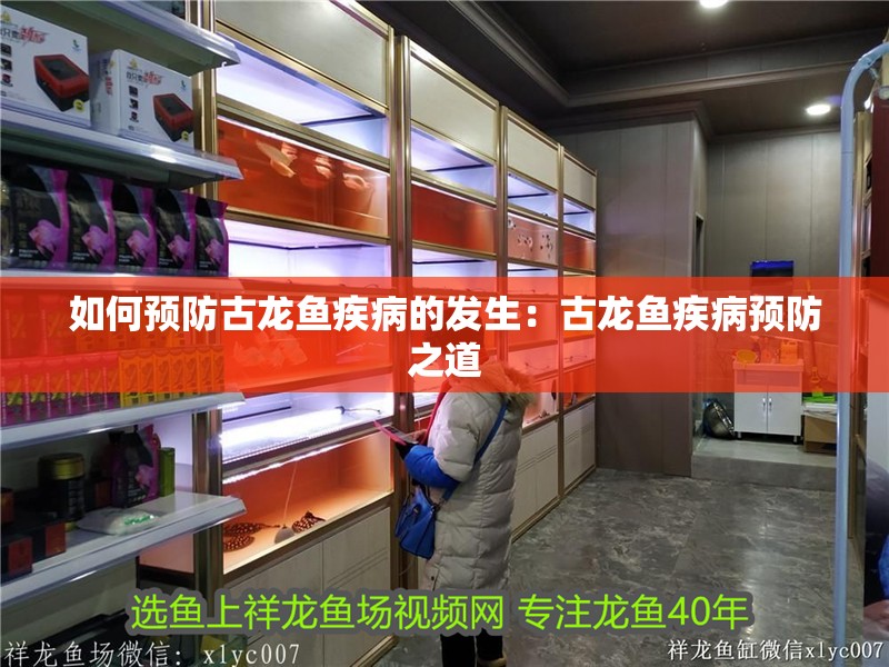 如何預(yù)防古龍魚(yú)疾病的發(fā)生：古龍魚(yú)疾病預(yù)防之道