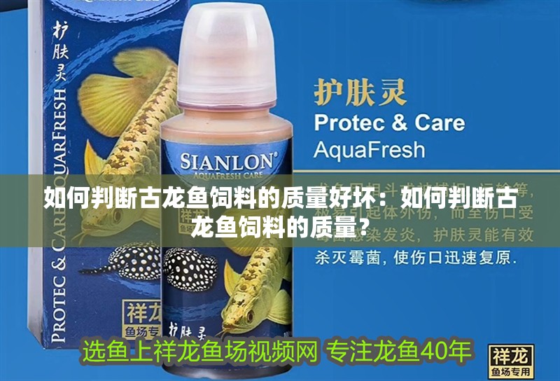 如何判斷古龍魚飼料的質(zhì)量好壞：如何判斷古龍魚飼料的質(zhì)量？