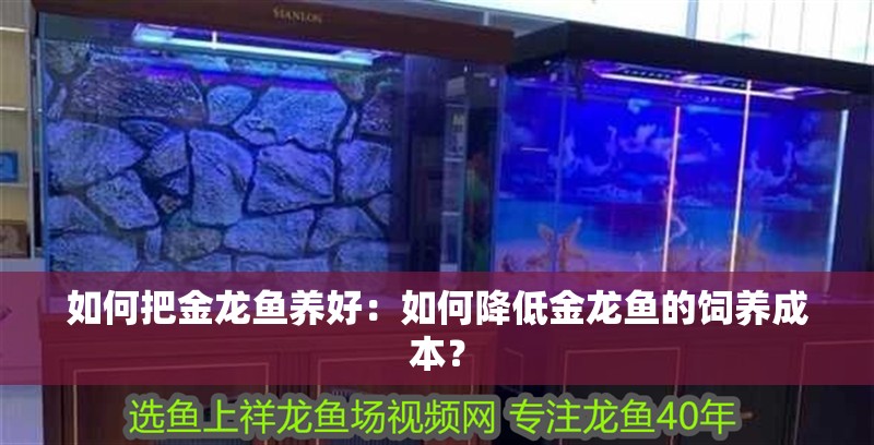 如何把金龍魚養好：如何降低金龍魚的飼養成本？
